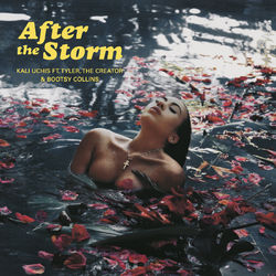 After The Storm - Norman Brown