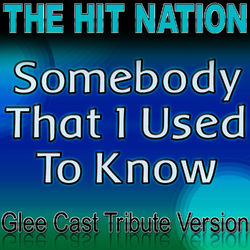 Somebody That I Used to Know - Glee Cast Tribute Version - Glee Cast