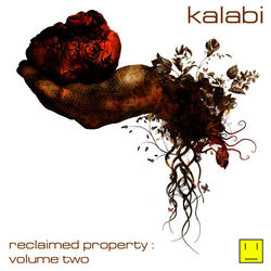 Reclaimed Property Volume 2 - Kalabi