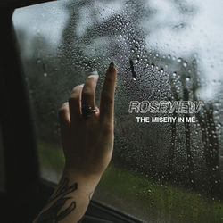 The Misery In Me - Roseview