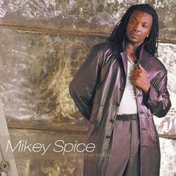 Harder Than Before - Mikey Spice