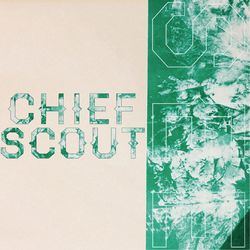 See - Chief Scout