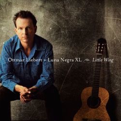 Little Wing - Ottmar Liebert + Luna Negra XL