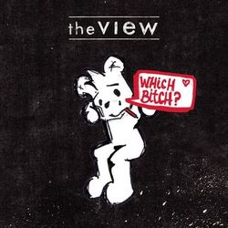 Which Bitch? - The View