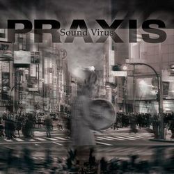 Sound Virus - Praxis