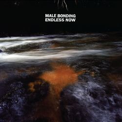 Endless Now - Male Bonding