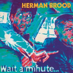 Wait A Minute - Herman Brood
