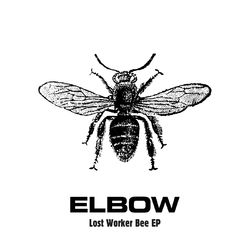 Lost Worker Bee - EP - Elbow