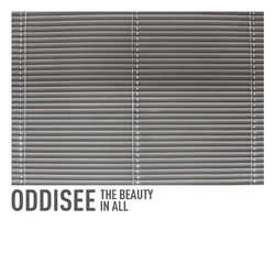 The Beauty in All - Oddisee