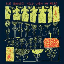 Hold Open My Head - Nai Harvest