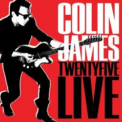 Twenty Five Live - Colin James