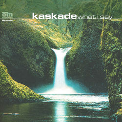 What I Say - Kaskade