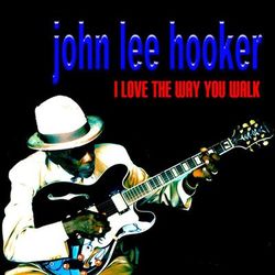 I Like the Way You Walk - John Lee Hooker