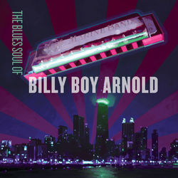 The Blues Soul Of Billy Boy Arnold - Billy Boy Arnold
