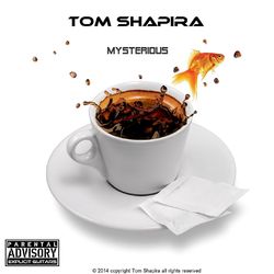 Mysterious - Tom Shapira