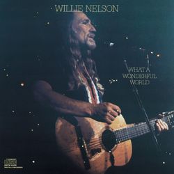 What A Wonderful World - Willie Nelson