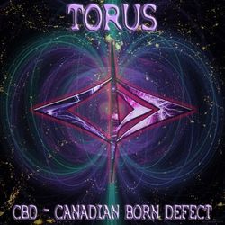 Torus - Sub Focus
