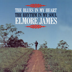 The Blues in My Heart, The Rhythm in My Soul - Elmore James