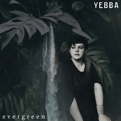 Evergreen - Broods