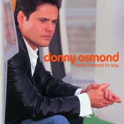 What I Meant To Say - Donny Osmond