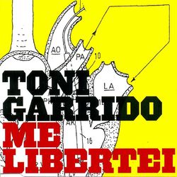 Me Libertei - Toni Garrido