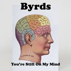 You're Still on My Mind - The Byrds