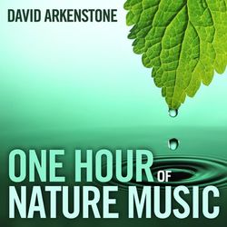 One Hour Of Nature Music: For Massage, Yoga And Relaxation - David Arkenstone