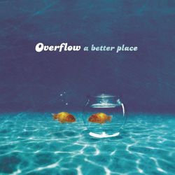 A Better Place - Overflow