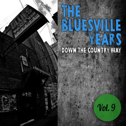 The Bluesville Years, Vol. 9: Down the Country Way - Big Joe Williams