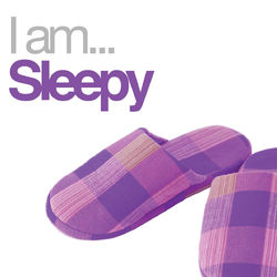 I Am Sleepy - Chris Cornell