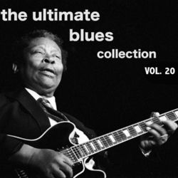 The Ultimate Blues Collection, Vol. 20 - Tampa Red