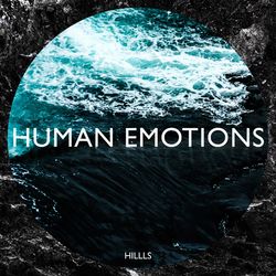 Human Emotions - David Allan Coe