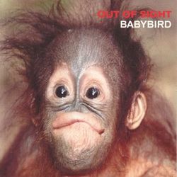 Out of Sight - Babybird