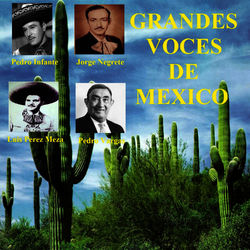 Grandes Voces de Mexico - Pedro Vargas