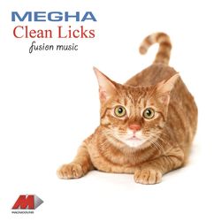 Clean Licks - Megha