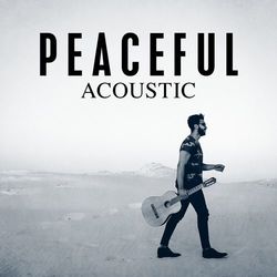 Peaceful Acoustic (Acoustic Version) - Lenny Kravitz