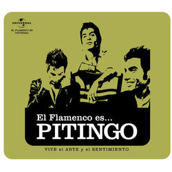 Flamenco es... Pitingo - Pitingo