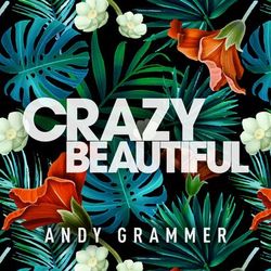 Crazy Beautiful EP - Andy Grammer