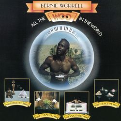 All the Woo in the World - Bernie Worrell
