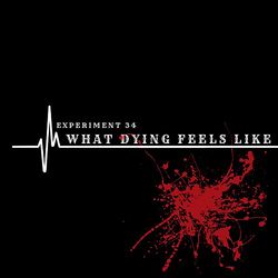 What Dying Feels Like - Rebecca Lynn Howard