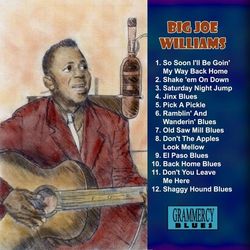 Jinx Blues - Big Joe Williams