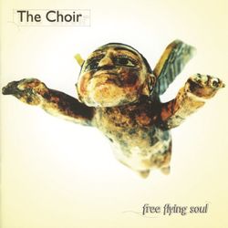 Free Flying Soul - The Choir
