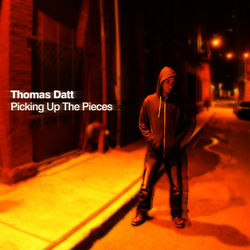 Picking Up the Pieces - Thomas Datt