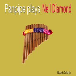 Panpipe Plays Neil Diamond - Neil Diamond