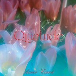 Quietude - Aurio Corrá