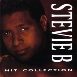 Hit Collection (Stevie B)