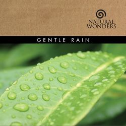 Gentle Rain - David Arkenstone