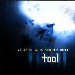 A Gothic Acoustic Tribute To Tool - Tool
