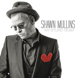 My Stupid Heart - Shawn Mullins
