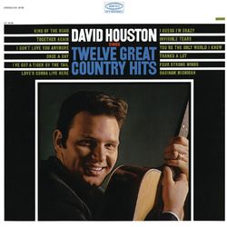 Sings Twelve Great Country Hits - David Houston